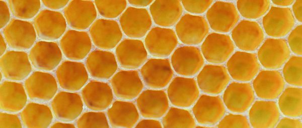 A picture of natural honeycomb showing it's characteristic hexagonal structure