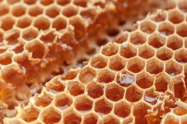 honeycomb