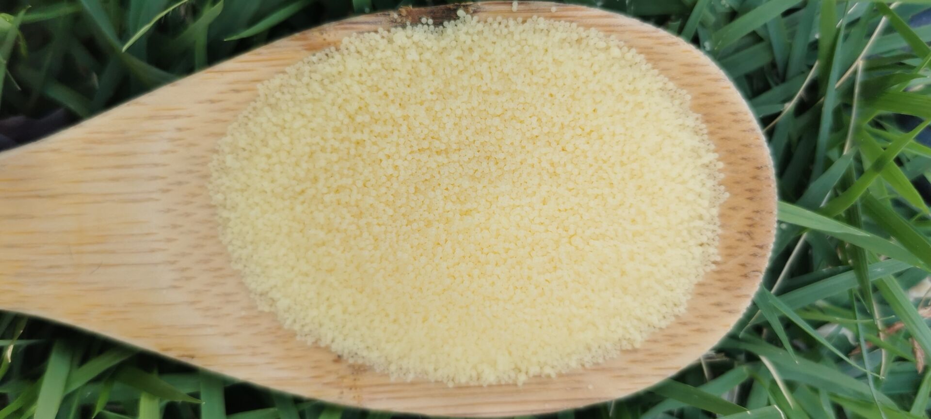 Candelilla Wax for Soap Making & Cosmetics